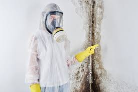 Best Black Mold Removal  in Cheverly, MD